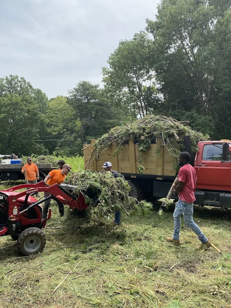 Tree service crew collecting brush and storm debris for hauling in Walkertown, NC