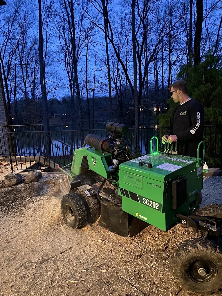 A certified arborist evaluating a diseased maple tree for safety hazards in Northwest Greensboro.