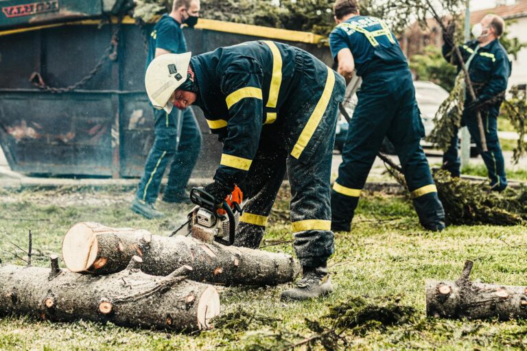 Firefighters in protective gear using a chainsaw to clear fallen trees outdoors. Teamwork in action.