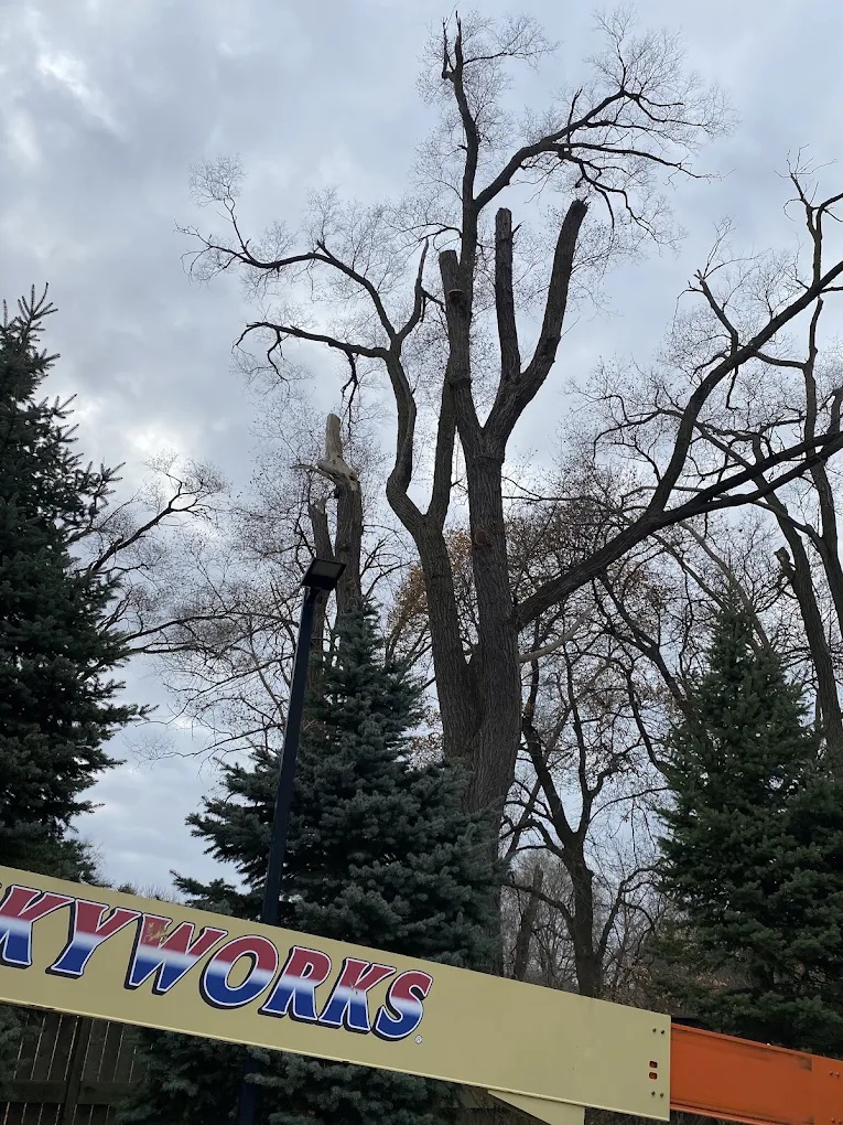 Professional lot clearing and debris removal for a new construction site in Greensboro, North Carolina.
