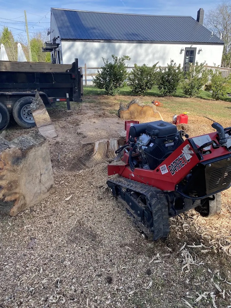 Pine tree removal and cleanup near Lake Jeanette in Greensboro, NC