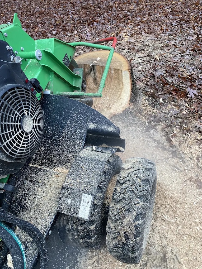 Stump grinding service turning a large stump into mulch and wood chips in Colfax, NC
