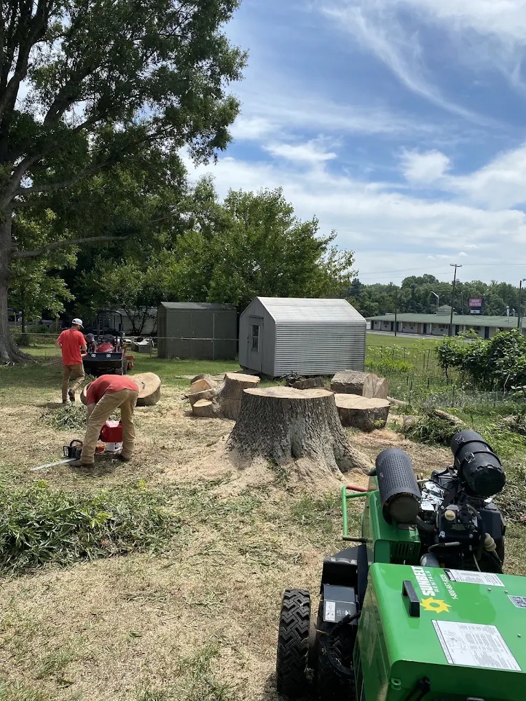 Commercial-grade stump grinder removing a large tree stump in a Lindley Park backyard, Greensboro, NC.