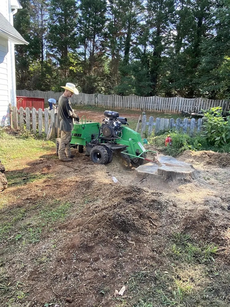 Stump grinding service removing a large stump and restoring the yard in Oak Ridge, NC