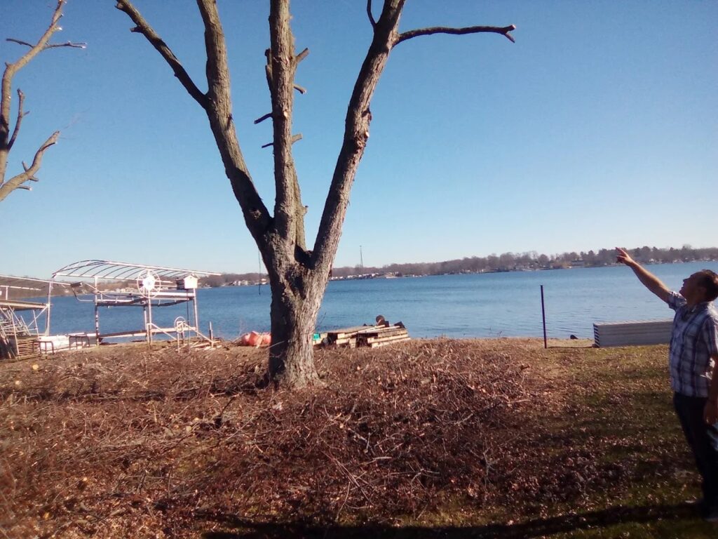 Tree debris removal using a tractor and crew to clear a large job site in Mebane, NC