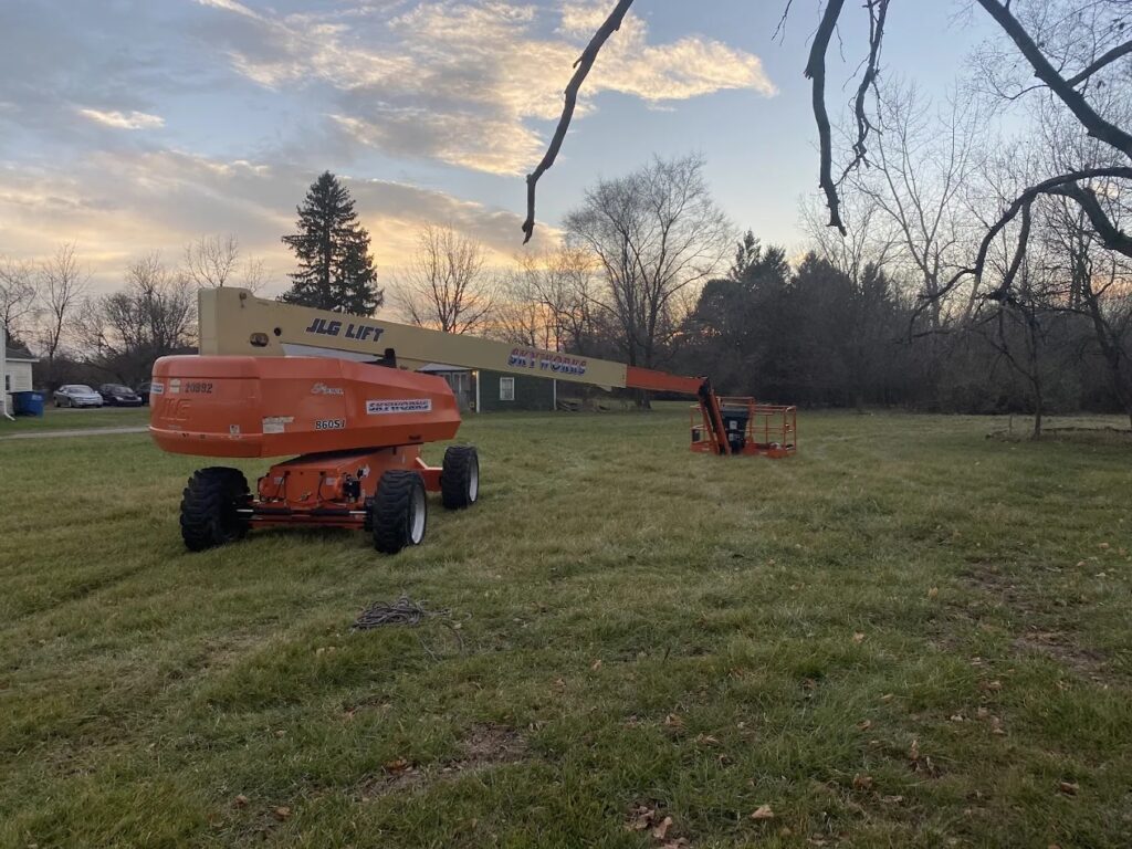 Precision canopy thinning and deadwood removal for a residential tree in the Sunset Hills neighborhood of Greensboro.