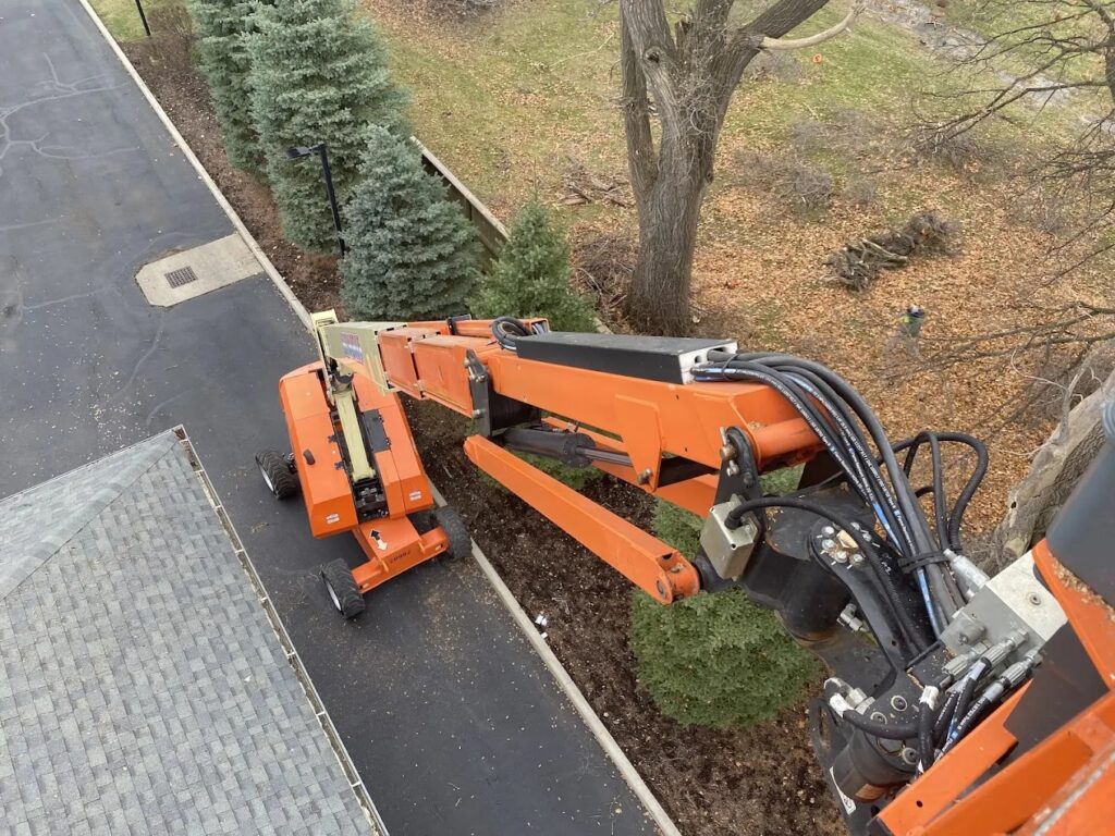 Tree removal service completed with safe cutting and cleanup near Irving Park in Greensboro, NC