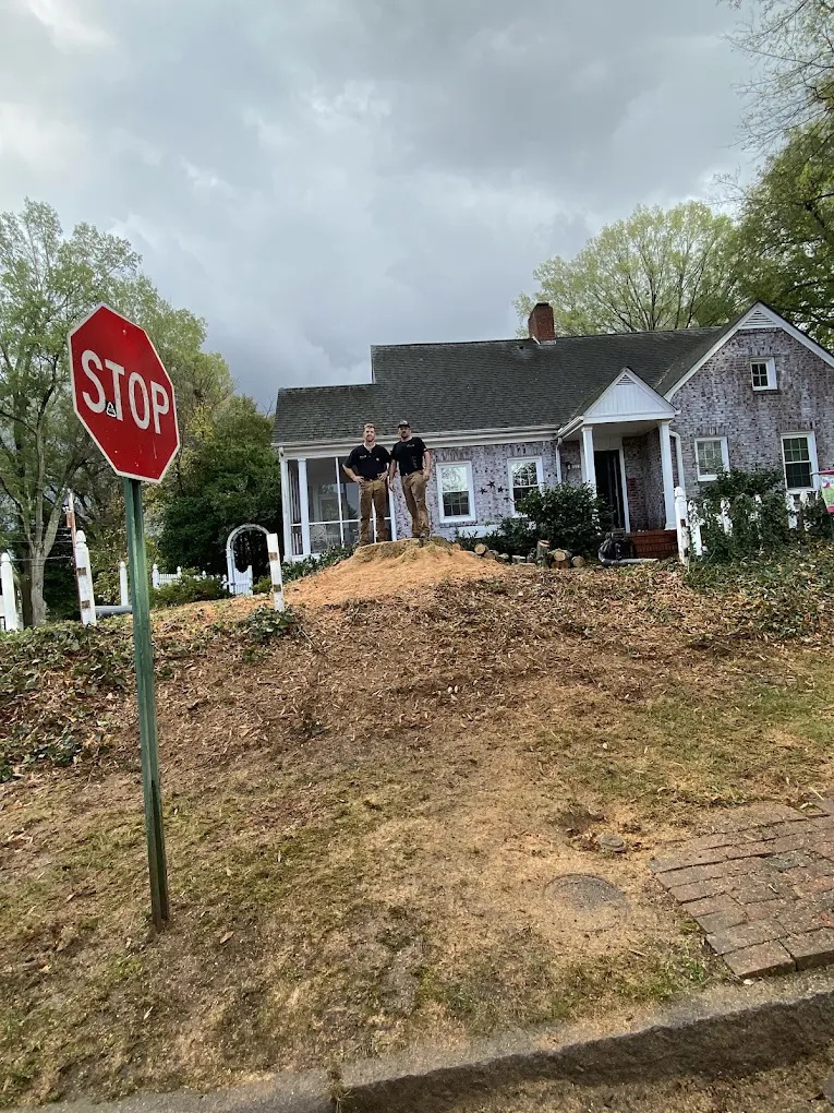 Tree service crew after completing a residential tree removal job in Greensboro, NC