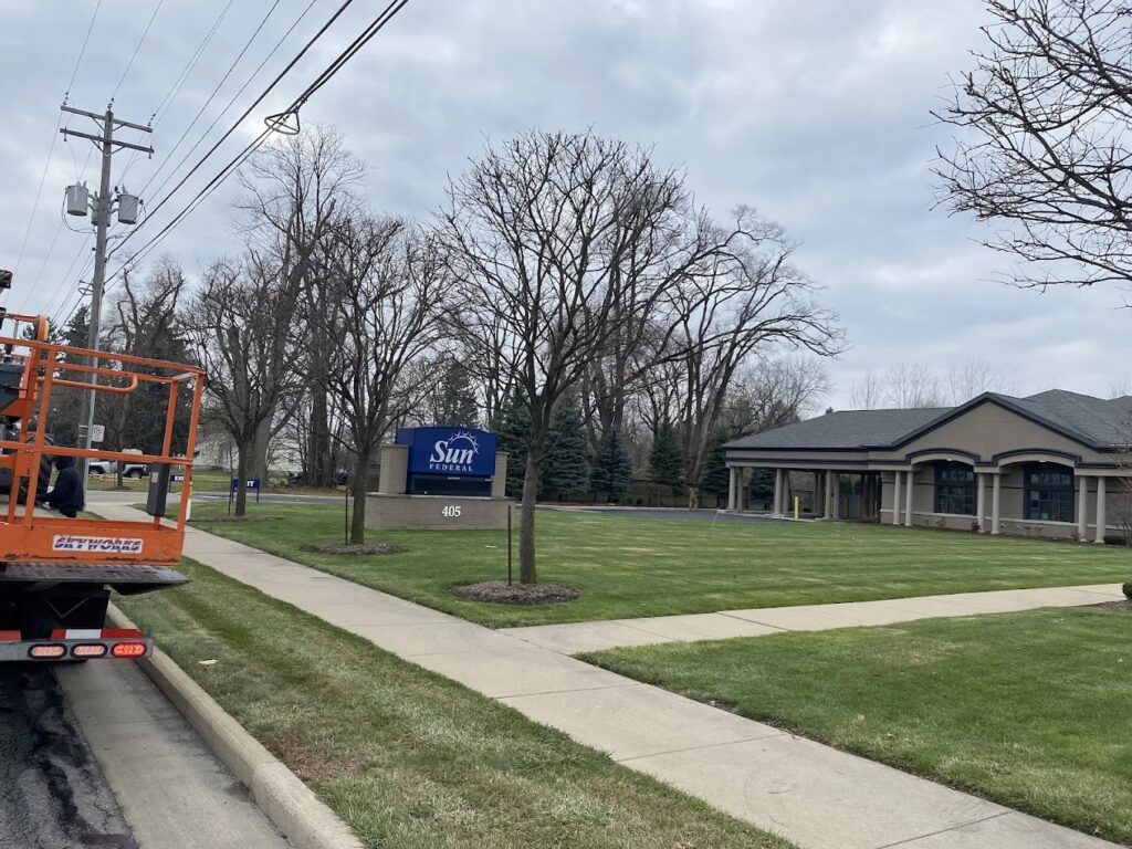 Tree trimming near power lines for safe utility clearance in the Triad area