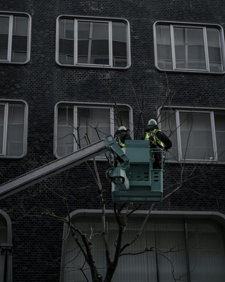 Two workers on a cherry picker trim trees by a modern building facade.