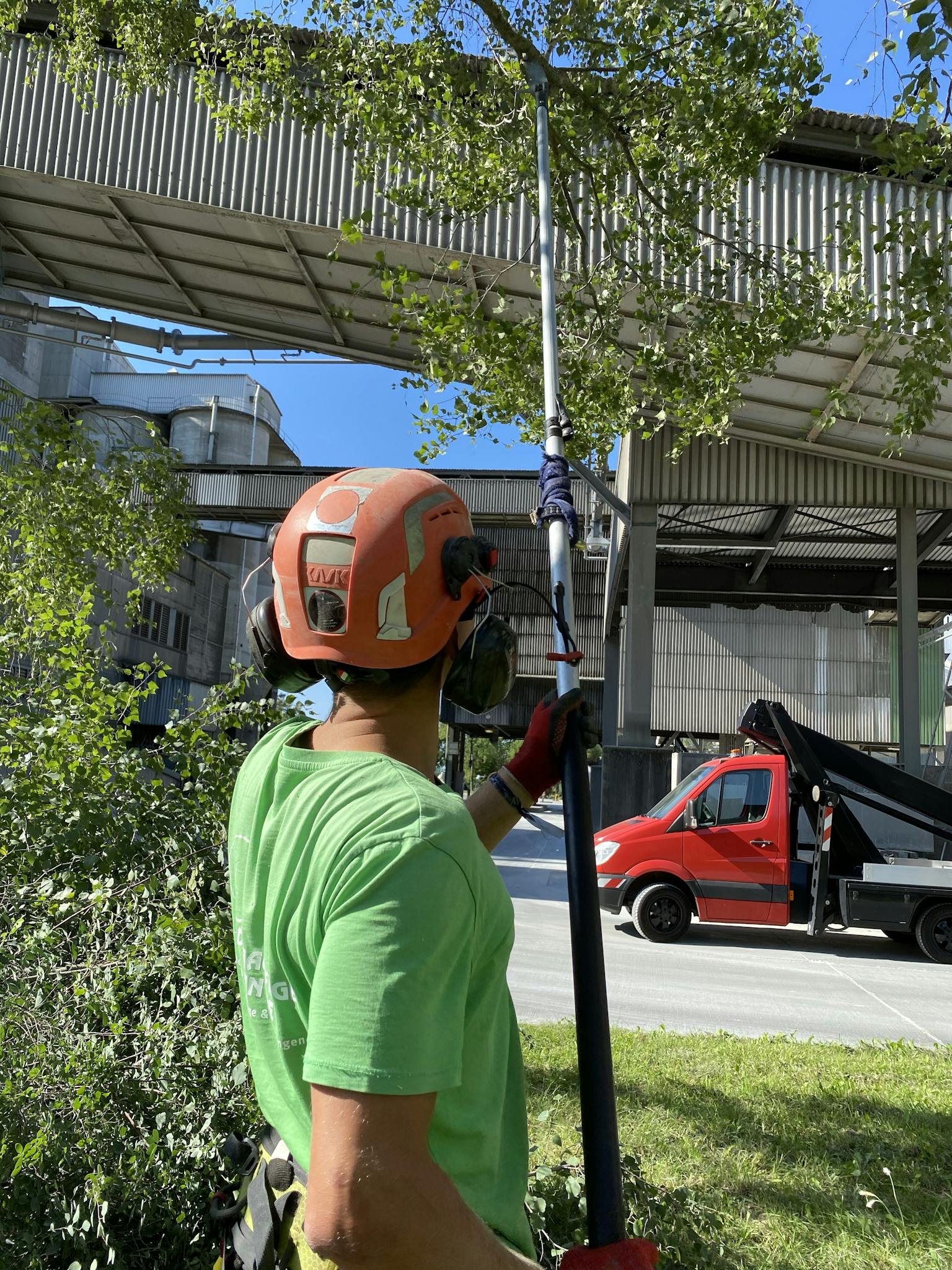 Worker using pole saw for tree trimming tasks outdoors under clear blue sky.